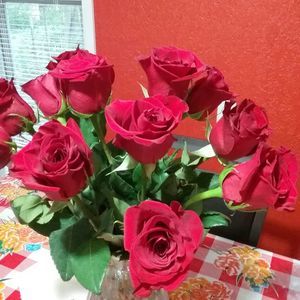 Meet your Posher, Ale